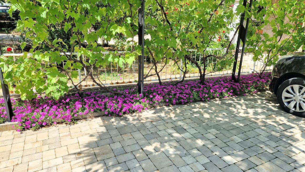 Apartment Pipo Krk Town Dış mekan fotoğraf